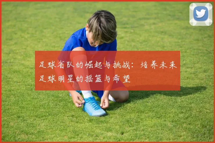 足球省队的崛起与挑战：培养未来足球明星的摇篮与希望