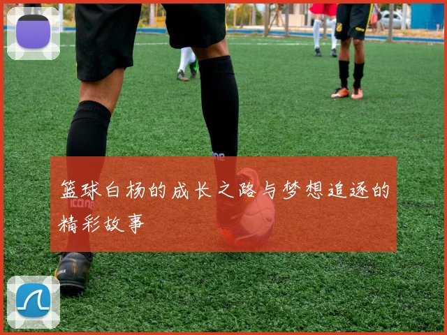 篮球白杨的成长之路与梦想追逐的精彩故事