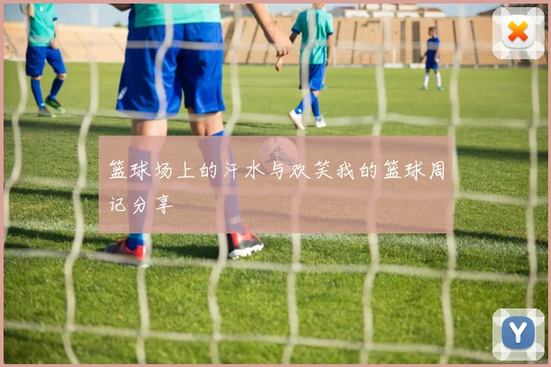 篮球场上的汗水与欢笑我的篮球周记分享
