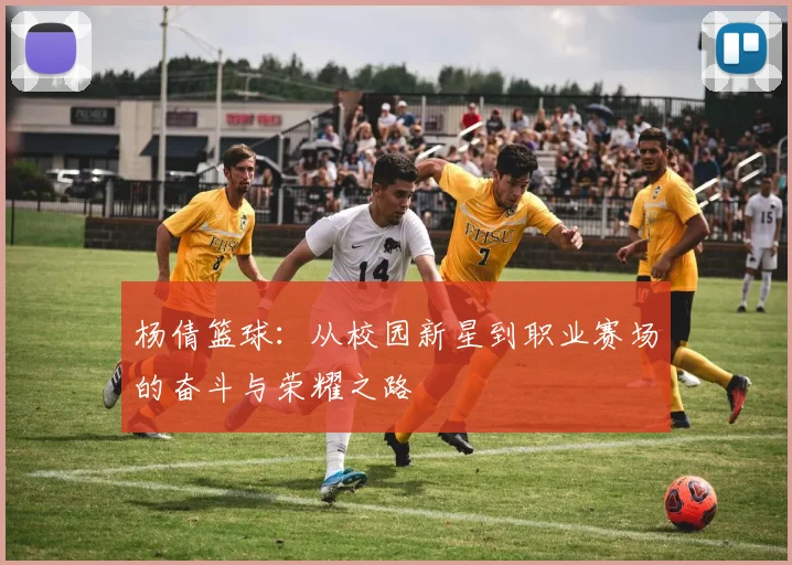 杨倩篮球：从校园新星到职业赛场的奋斗与荣耀之路