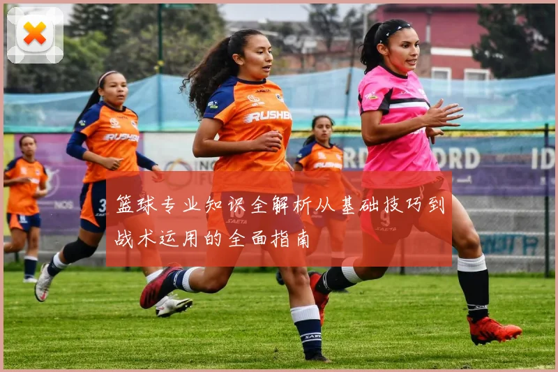 篮球专业知识全解析从基础技巧到战术运用的全面指南
