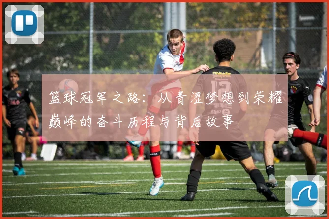 篮球冠军之路：从青涩梦想到荣耀巅峰的奋斗历程与背后故事