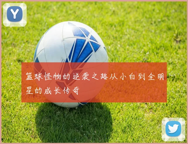 篮球怪物的逆袭之路从小白到全明星的成长传奇